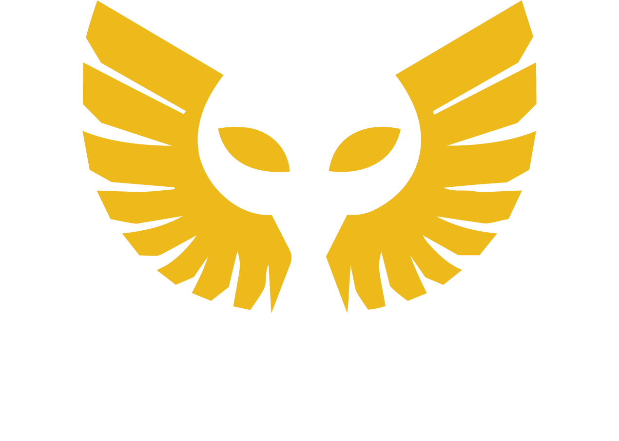 AuraGuardian Vertical Dark Logo
